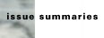 Issue Summaries